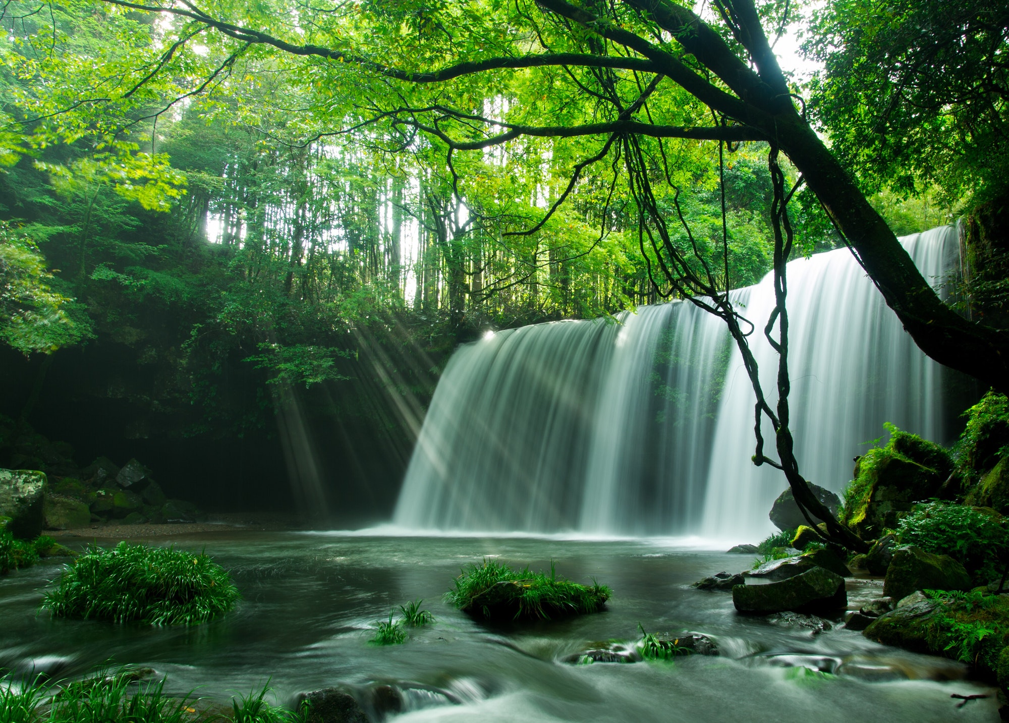 water fall.